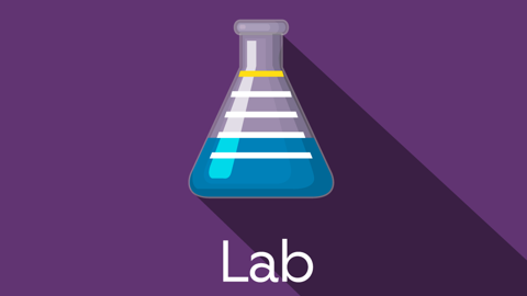 Lab