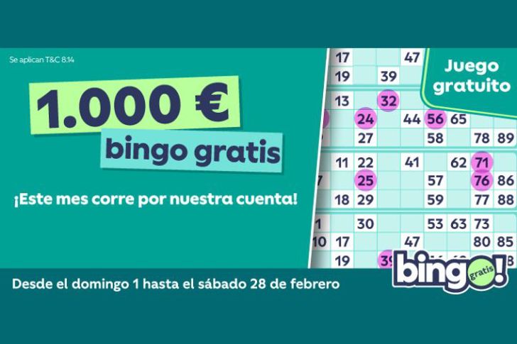 bingo gratis